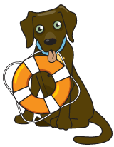 boating safety dog