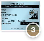 Print your Certificate