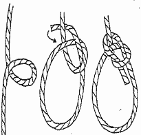 Bowline Knot