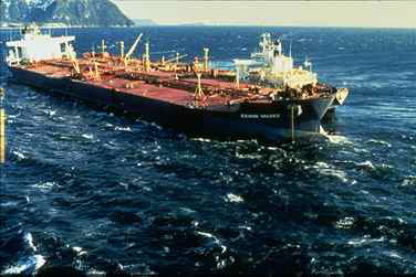 Exxon Valdez Oil Spill