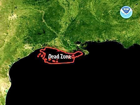 Mississippi Dead Zone