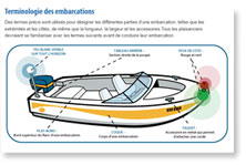 Cours d'illustration