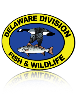 Delaware Logo