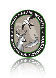 Florida Logo