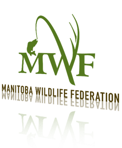 Manitoba Logo