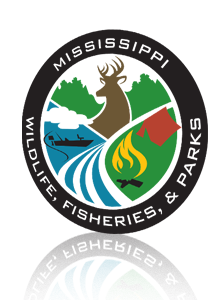 Mississippi Logo