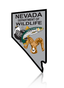 Nevada Logo
