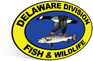 Delaware Shield