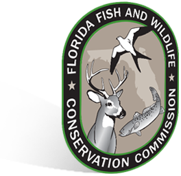 Florida Shield