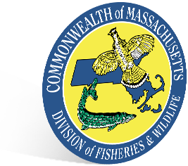 Massachusetts Shield