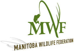 Manitoba Shield