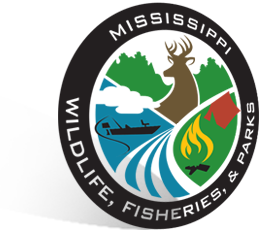 Mississippi Shield