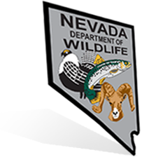Nevada Shield