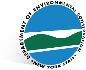 New York Shield