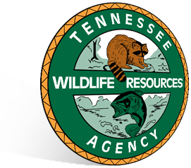 Tennessee Shield
