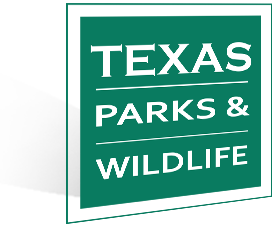 Texas Shield