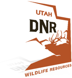 Utah Shield