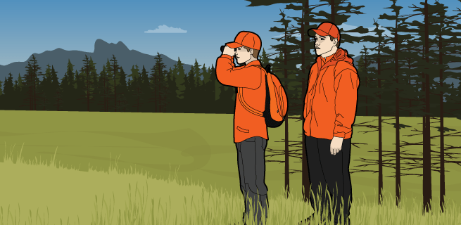 Scouting