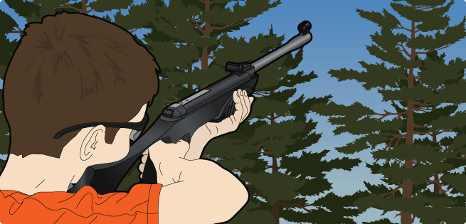 Air Guns