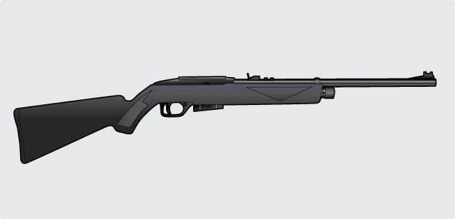 CO2 Powered Air Gun