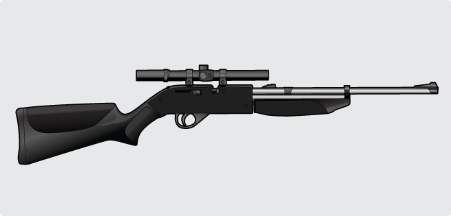 Pneumatic Air Gun