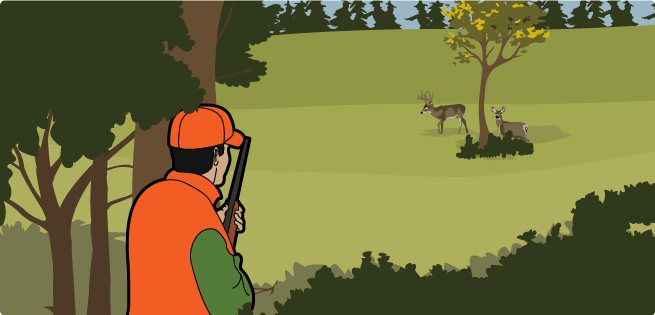 Sport and Stalk