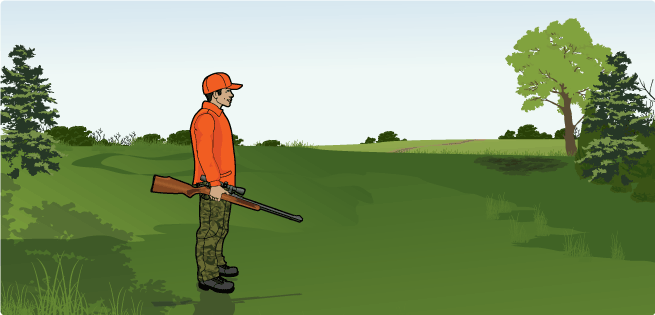 Where to hunt