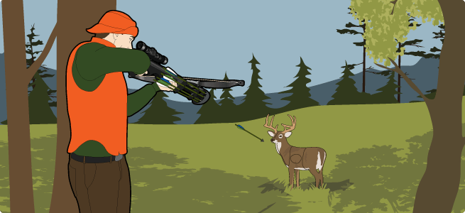 crossbow 3D target