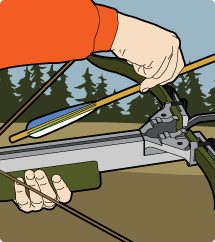 unloading a bolt