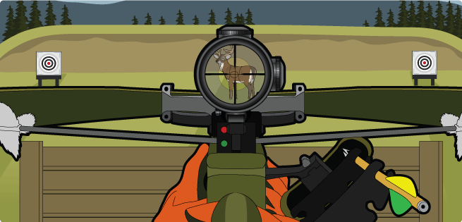 safety on the range