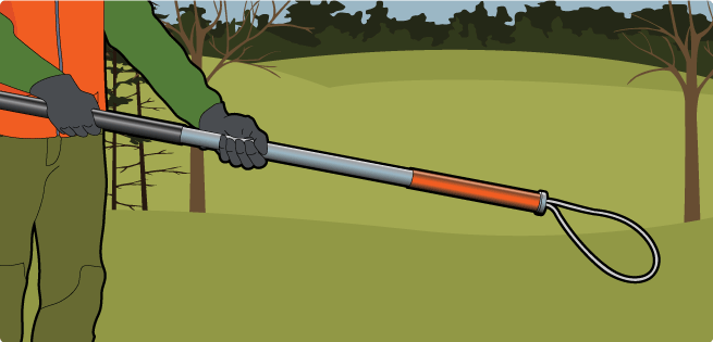 Animal Restraining Equipment