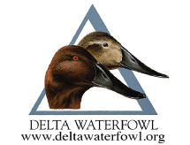 Delta Waterfowl Delta Waterfowl