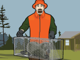 Wildlife Conservation Wildlife Conservation