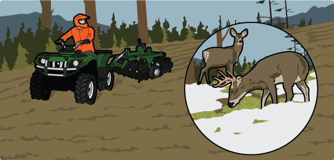 Food Plots Food Plots