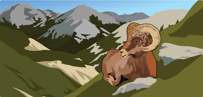 High Altitude High Altitude