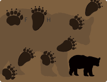 Black Bear Tracks