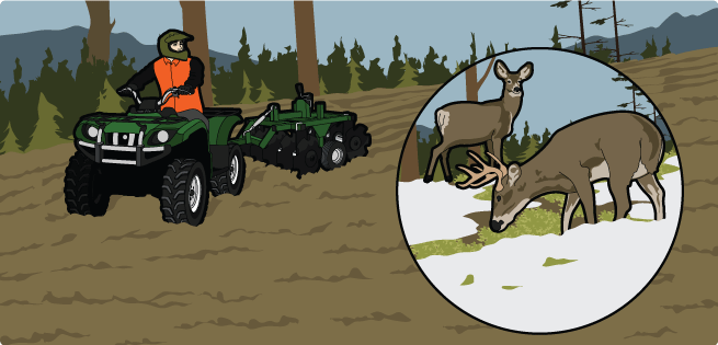 Food Plots Food Plots