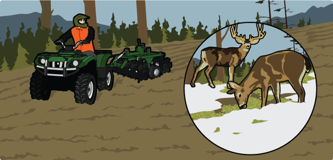 Food Plots Food Plots