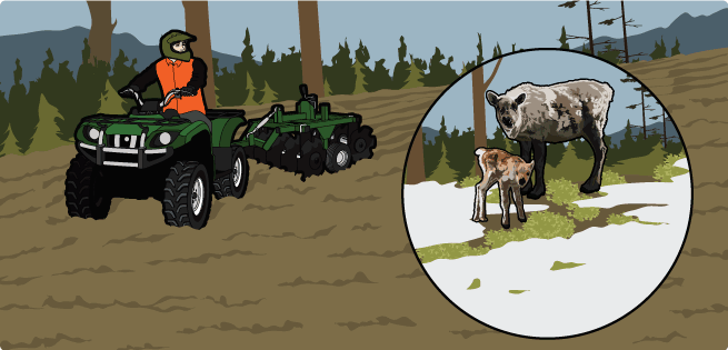 Food Plots Food Plots