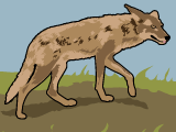 Predators Predators