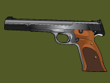 Semi-Automatic
