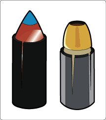 Polymer Tip Sabot and Hallow Tip Polymer Tip Sabot and Hallow Tip
