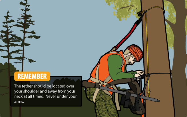 Climber