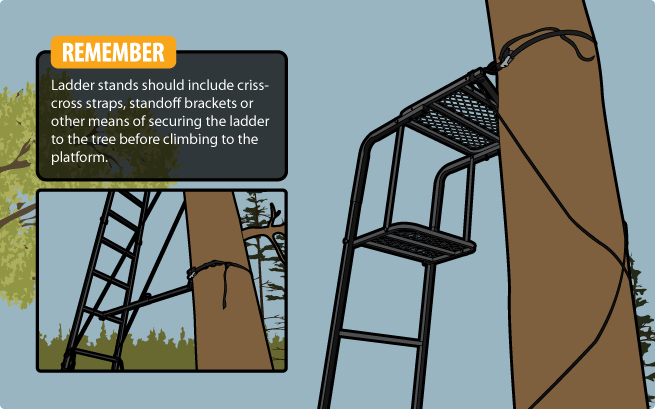 Ladder