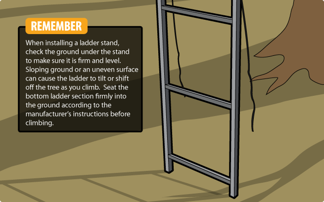 Ladder