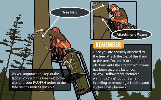 Ladder