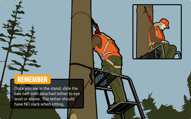 Ladder