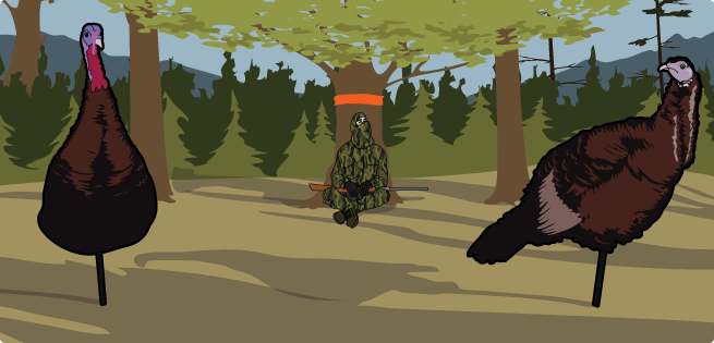 Turkey Decoy Turkey Decoy