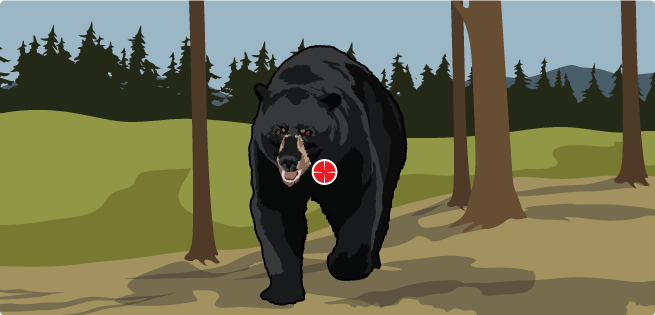 Bear up-front Bear up-front