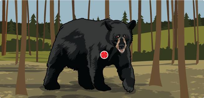 Bear Quartering Toward Bear Quartering Toward